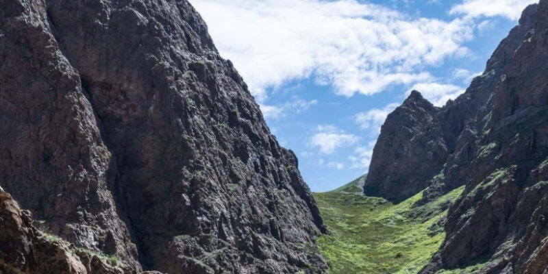 Great Gobi 7 Days Tented Tour - Exploring Mongolia’s Gobi: What to Expect from the Tour