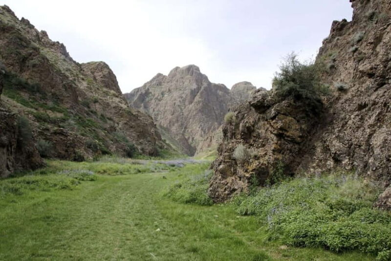 Great Gobi 7 Days Tented Tour - The Sum Up: Is This Tour for You?