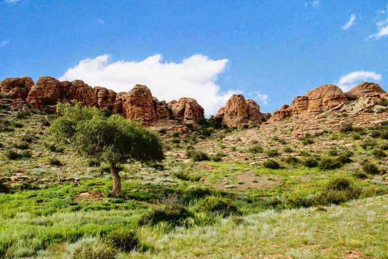 Great Gobi to Khuvsgul Lake 16 Days Tour - Final Thoughts