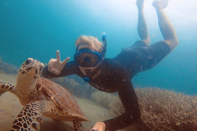 Great Keppel Island Day Trip Bundle from Yeppoon - Why This Tour Is Worth Considering