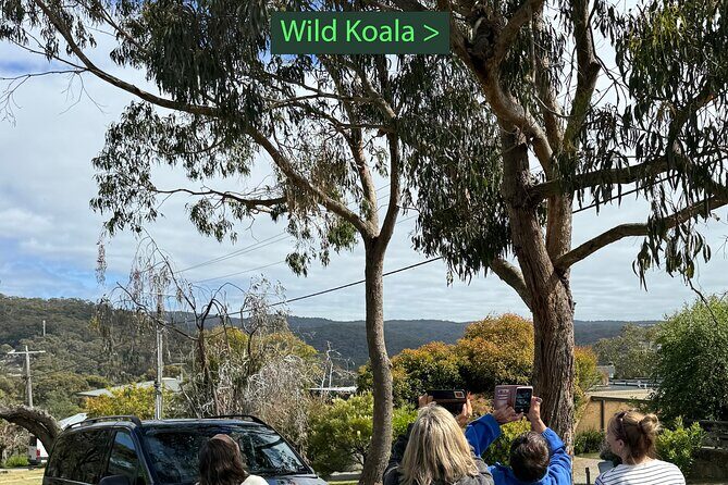Great Ocean Road 1 Day Luxury Private Tour - A Detailed Look at the Great Ocean Road Private Tour