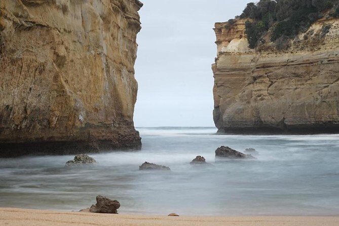 Great Ocean Road 12 Apostles kangaroo & koala tour - In-Depth Look at the Tour Experience