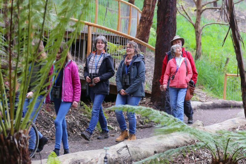 Great Ocean Road: Guided Wildlife Walk that Supports Nature - An In-Depth Look at the Guided Wildlife Walk