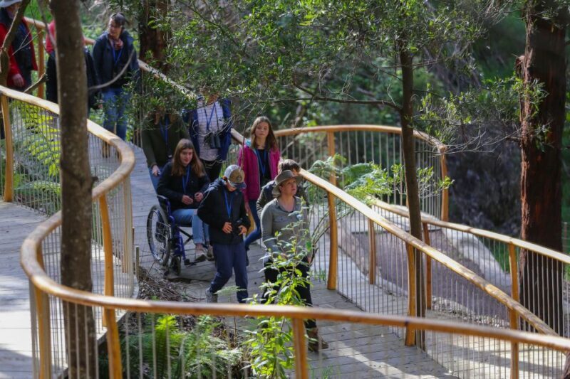 Great Ocean Road: Guided Wildlife Walk that Supports Nature - Final Thoughts