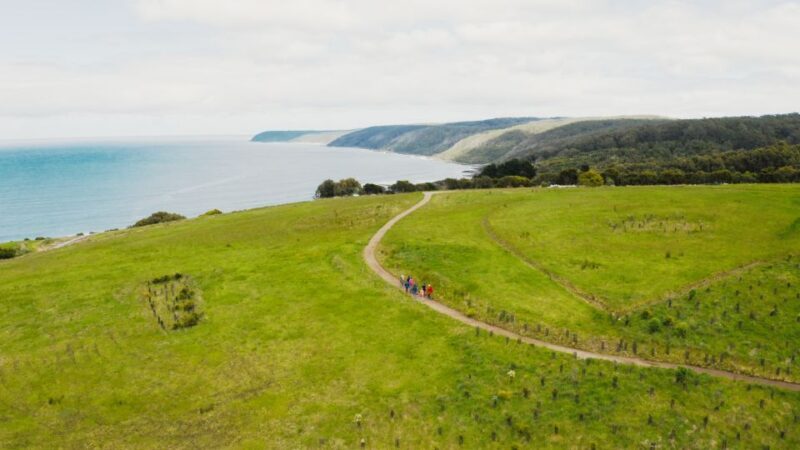 Great Ocean Road: Guided Wildlife Walk that Supports Nature - FAQs