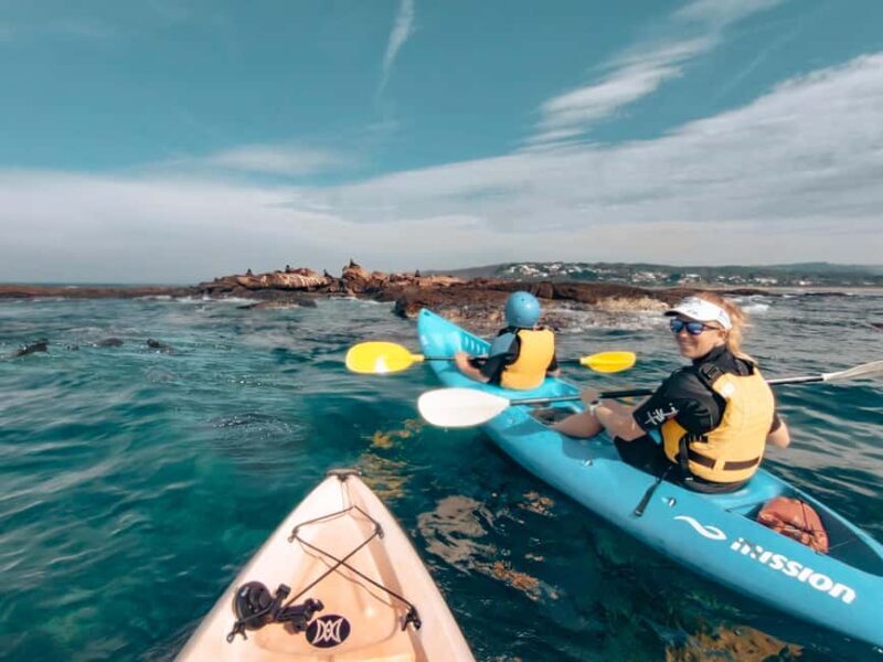 Great Ocean Road: Kayaking with Seals Tour - Great Ocean Road: Kayaking with Seals Tour – A Close Encounter with Wildlife and Stunning Coastal Views