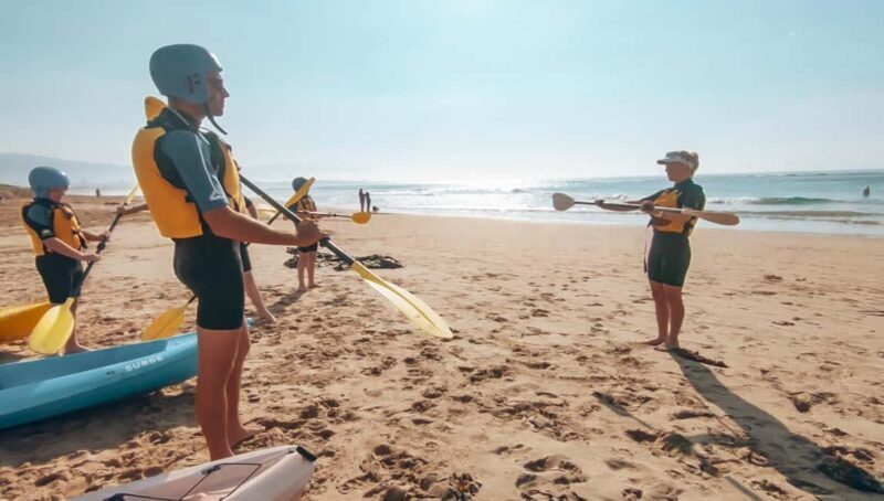 Great Ocean Road: Kayaking with Seals Tour - Key Points
