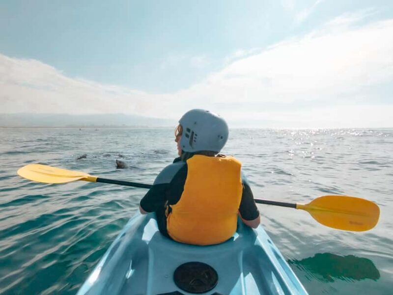 Great Ocean Road: Kayaking with Seals Tour - The Sum Up: Is This Tour Right for You?
