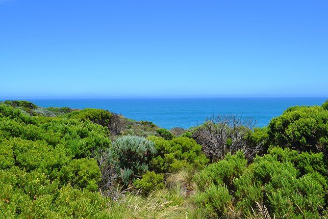 Great Ocean Road - Private Discovery Tour - Who Will Enjoy This Tour Most?
