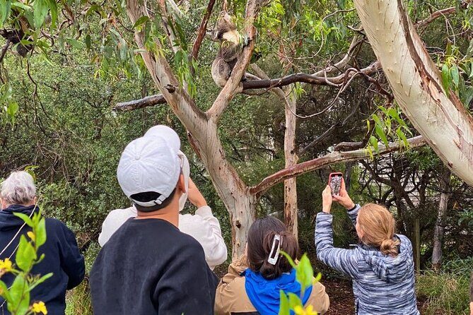 Great Ocean Road Small-Group Eco Tour from Melbourne - The Main Attraction: The Twelve Apostles and Loch Ard Gorge