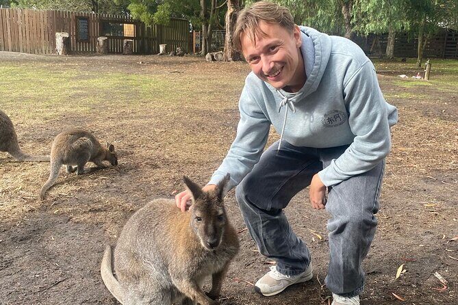 Great Ocean Road Small Group Tour with Dingos, Sparkling & Lunch - Final Thoughts