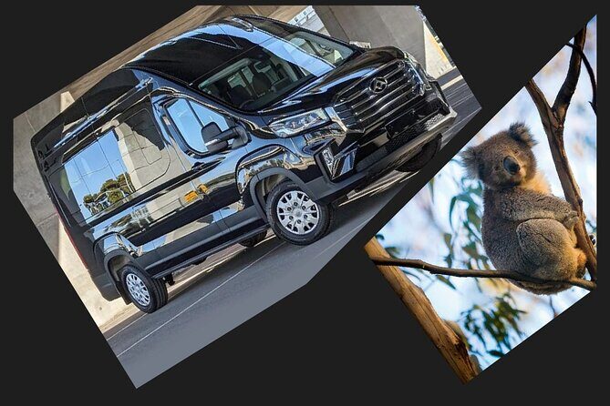Great Ocean Road Tour Reverse -Luxury 13 Small Group-Hotel PickUP - Who Would Love This Tour?