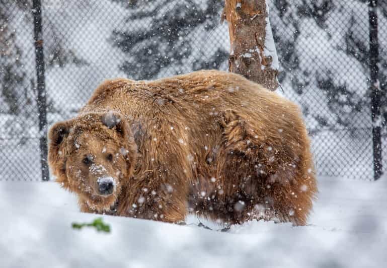 Great Plains Zoo - A quick look at the experience