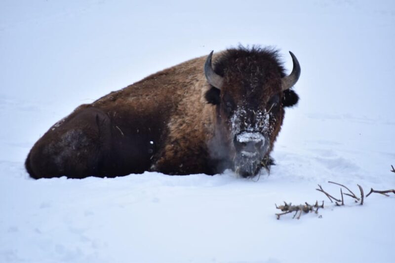 Great Plains Zoo - Authentic insights from visitors