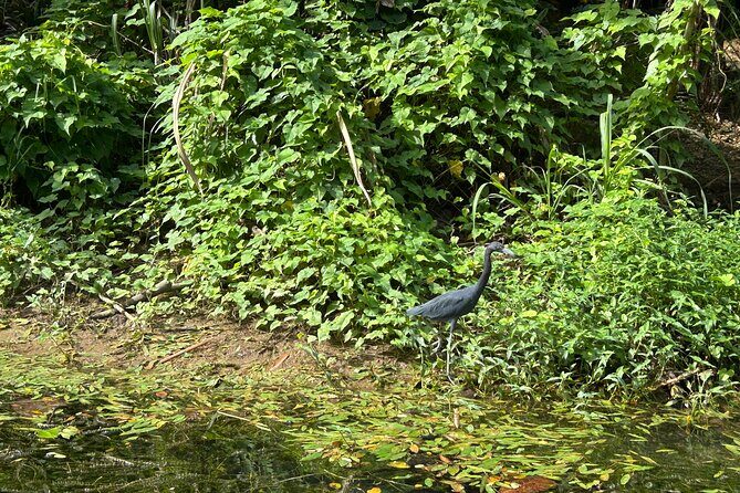 Great River Bamboo Rafting Adventure with Shopping - FAQ