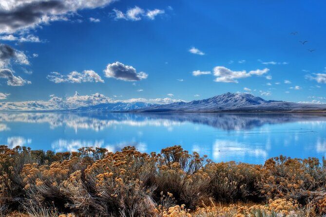 Great Salt Lake and Antelope Island Day Tour - The Itinerary: What to Expect on Your Day