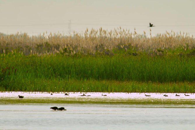 Great Salt Lake Guided Bus Tour from Salt Lake City - FAQ