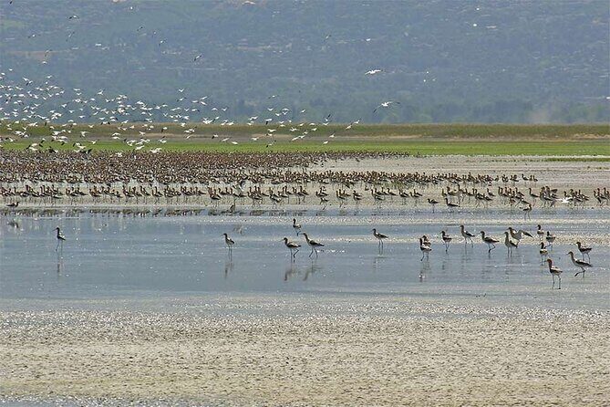 Great Salt Lake Wildlife Experience - FAQ