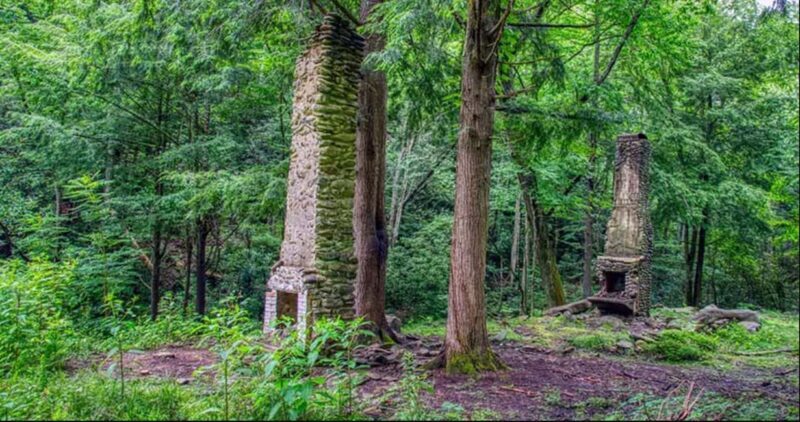 Great Smoky Mountains: Elkmont Historic District Tour - Authenticity and Value