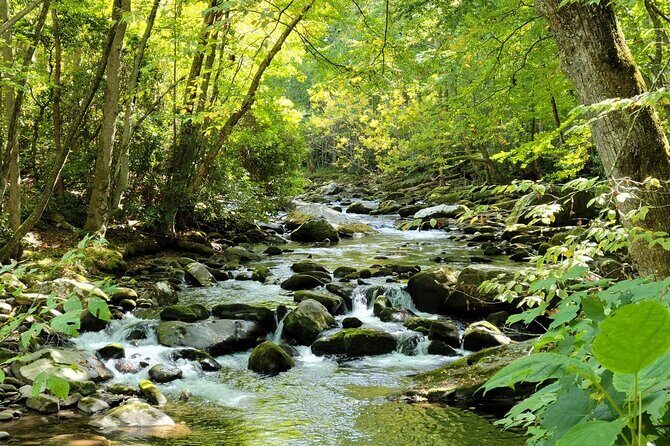 Great Smoky Mountains National Park Self-Guided Audio Tour - Who Should Consider This Tour?