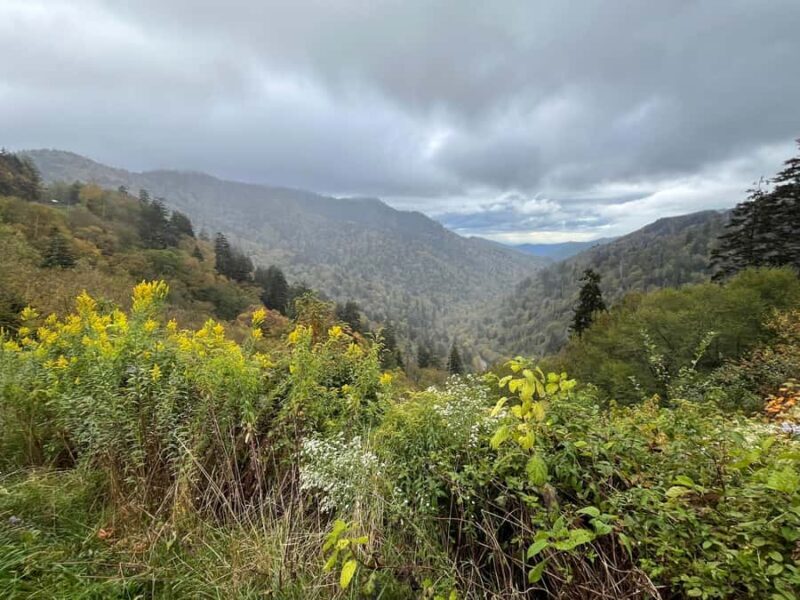 Great Smoky Mtns: Folklore Flora Fauna - Storytelling Hikes - Why This Tour Truly Stands Out