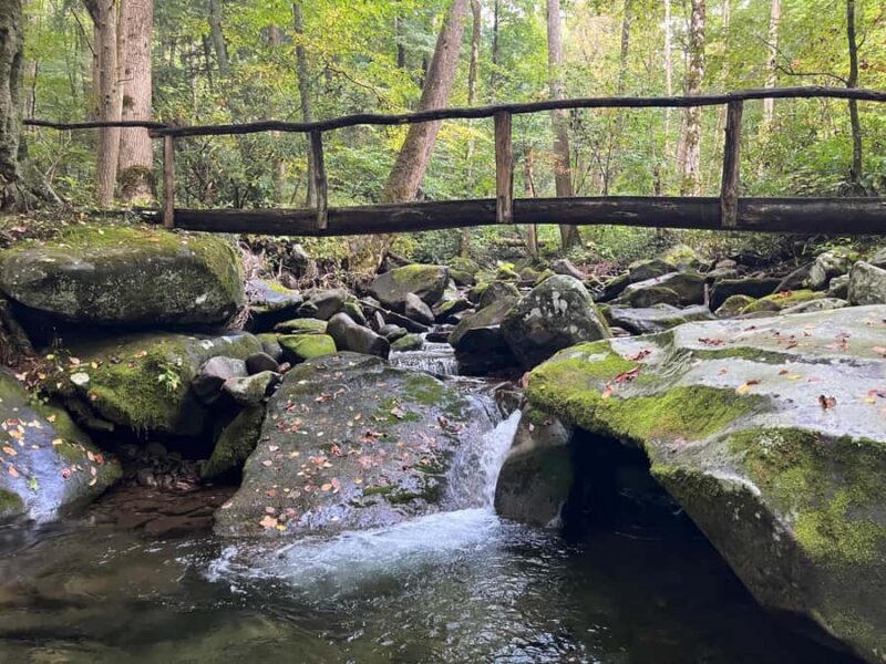 Great Smoky Mtns: Folklore Flora Fauna - Storytelling Hikes - Frequently Asked Questions