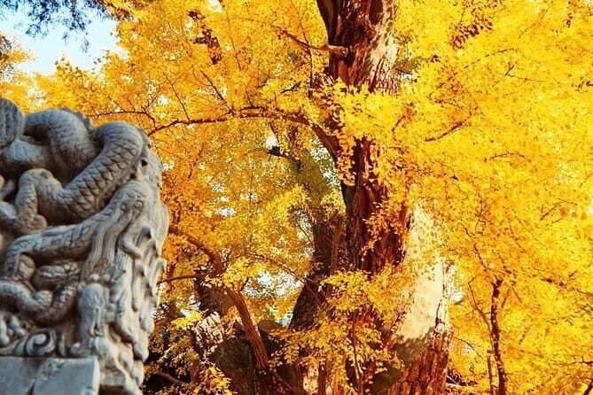 Great Wall of China at Mutianyu Full-Day Private Tour Including Lunch - Frequently Asked Questions (FAQs)