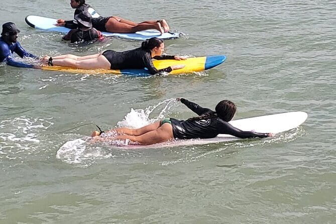 Great Whales Education Programe Dolphins and Whales are in SL - Who Should Consider This Tour?