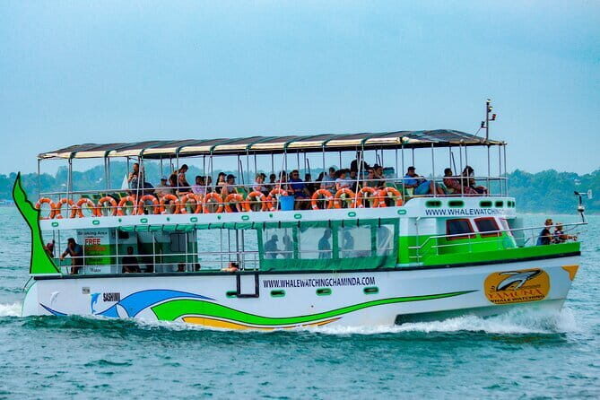 Great Whales Education Programe Dolphins and Whales are in SL - Frequently Asked Questions