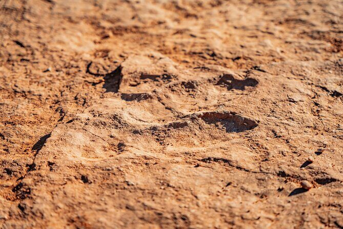 Greater Zion: Dinosaur Tracks in the Desert UTV Tour - Final Thoughts