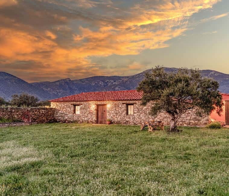 Greece in a Drop: Olive Grove Walk and Olive Oil Tasting - Who Should Consider This Tour?