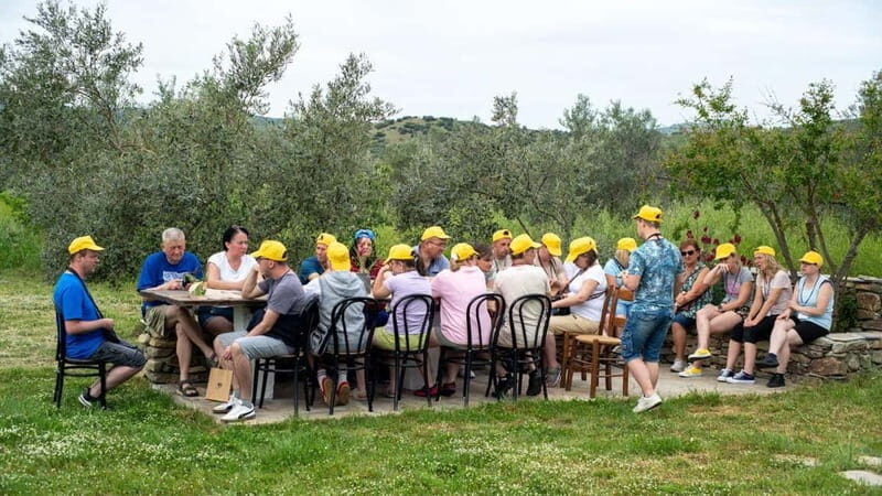 Greece in a Drop: Olive Grove Walk and Olive Oil Tasting - FAQ