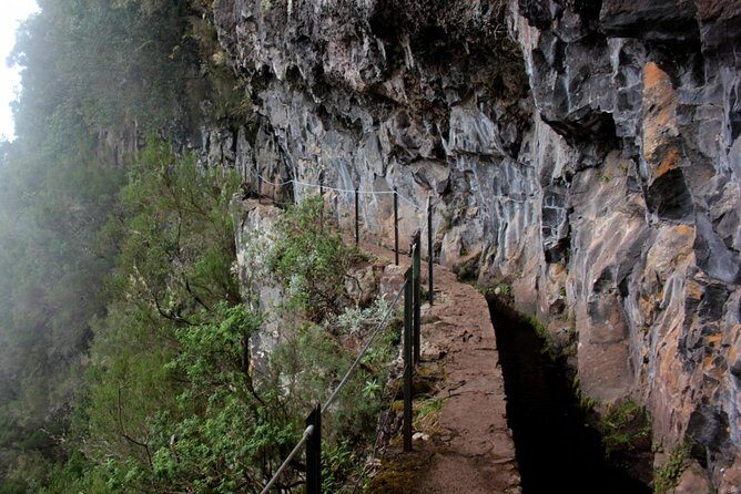 Green Cauldron - Green Cauldron: An Enchanting Walk Through Madeira’s Verdant Heart