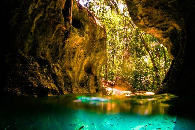 Green Grato Caves and Dunns River Falls with Private Transfer - Discover Jamaicas Natural Beauty: Dunn’s River Falls and Green Grotto Caves with Private Transfer