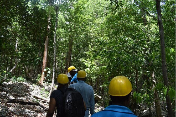 Green Grotto Cave Private Tour - River Rapids: An Exciting Adventure in Trelawny