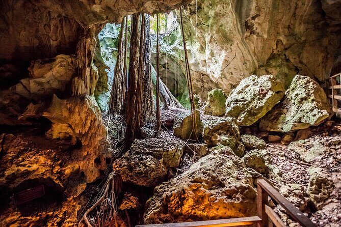 Green Grotto Cave Private Tour in Jamaica - A Thorough Breakdown of the Itinerary