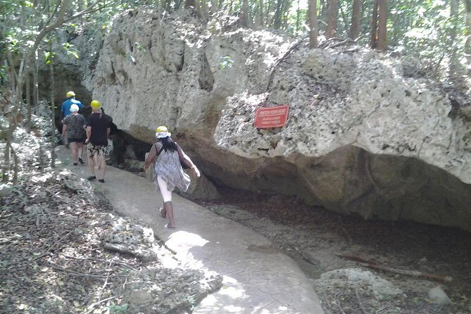 Green grotto cave tour - Exploring the Green Grotto Caves: An In-Depth Review