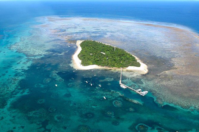 Green Island Day Trip from Cairns with Beaches Transfers - Exploring the Itinerary in Detail