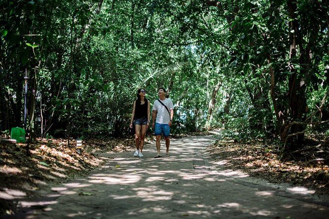 Green Island Full Day Trip from Cairns with City Transfers - The Sum Up: A Solid Choice for a Reef Day Trip