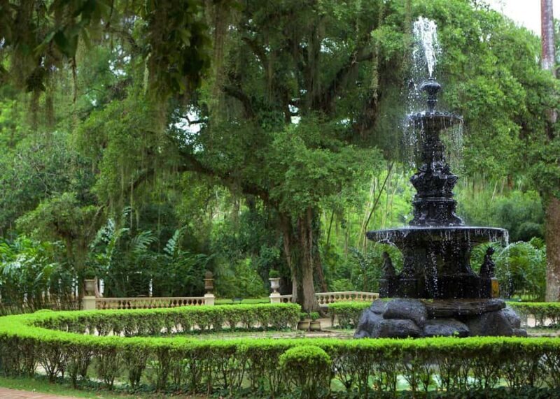 Green Rio: Guided Tour of Botanical Garden and Lage Park - Green Rio: Guided Tour of Botanical Garden and Lage Park