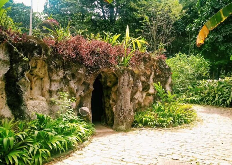 Green Rio: Guided Tour of Botanical Garden and Lage Park - Key Points