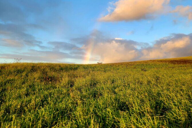 Green Sands Adventure ATV Ride - FAQs