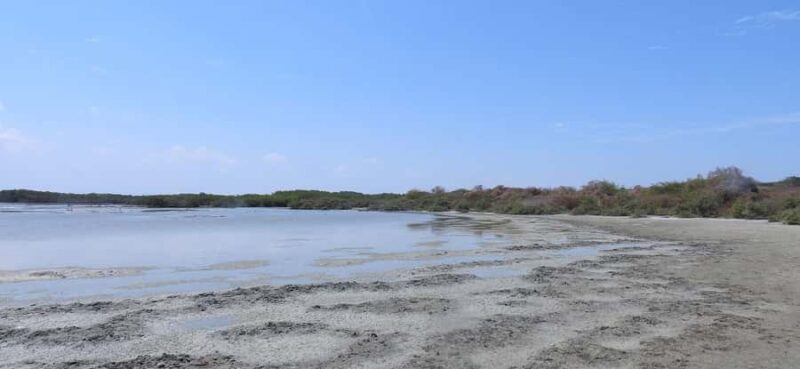 Green treasure: National Mangrove Sanctuary, Tumbes - Key Points