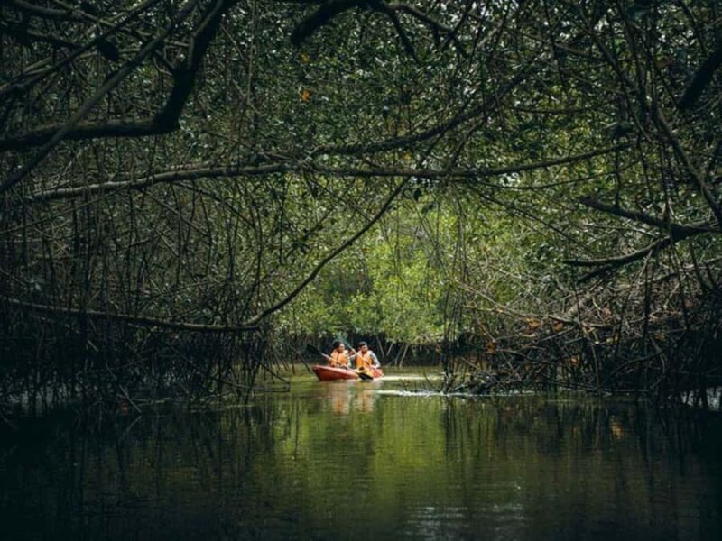 Green treasure: National Mangrove Sanctuary, Tumbes - Who Should Consider This Tour?