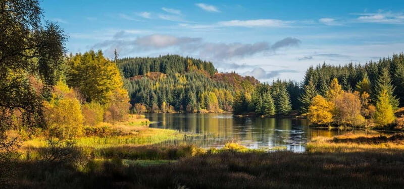 Greenock: Loch Lomond, Trossachs & Stirling Castle Tour - Practical Details & Value