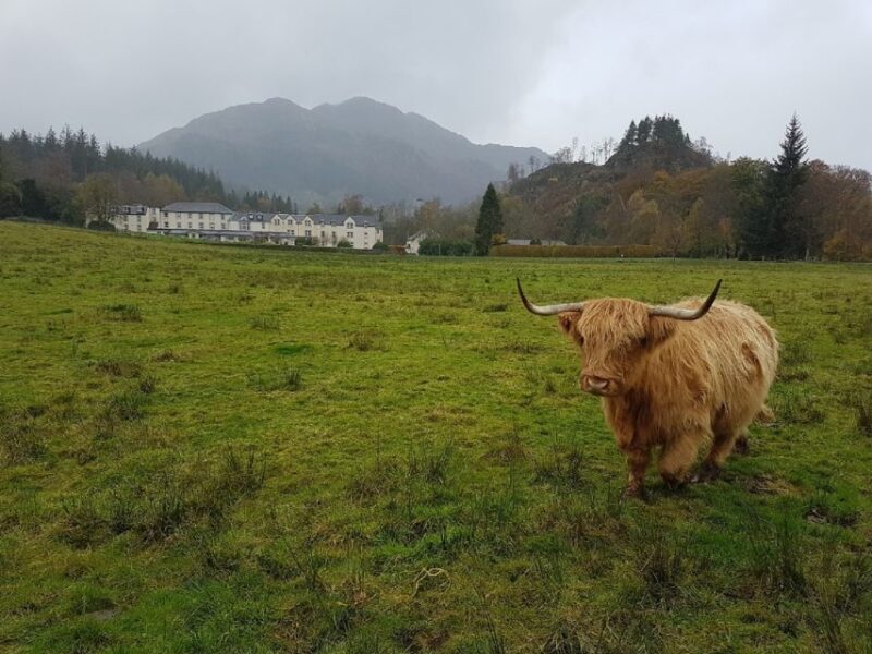 Greenock: Shore Excursion to Stirling Castle and Loch Lomond - The Highlights in Detail
