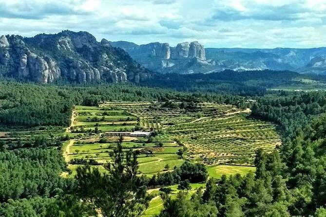 Greenway Section Cretas - Horta de Sant Joan 11km (90% descending 10% flat) - Experience the Greenway from Cretas to Horta de Sant Joan: A Thorough, Authentic Cycling Adventure