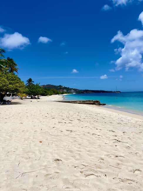 Grenada: Annandale Waterfall, Grand Etang, Grand Anse beach - The Value of This Tour