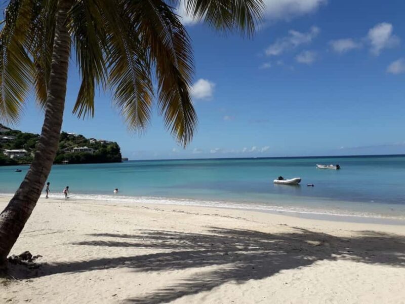 Grenada: Culture and Nature Island Tour with Chocolate & Rum - What to Expect and Why It Matters