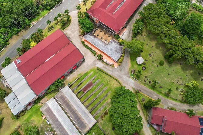 Grenada Day Tour-Concord Falls, Chocolate, Rum & Grand Etang Lake - The Logistics and Practical Tips